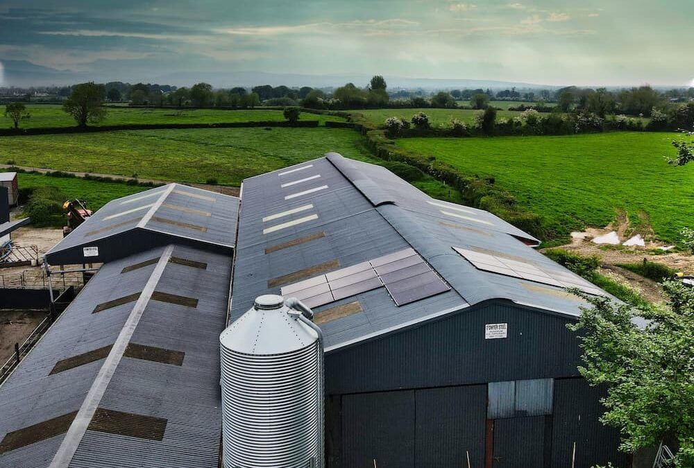How Agricultural Businesses in Ireland Can Benefit from Solar Energy