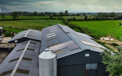 How Agricultural Businesses in Ireland Can Benefit from Solar Energy